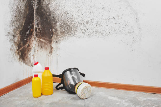 Home Mold Removal in Blanchard, OK