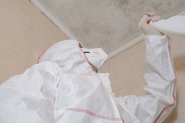 Mold Removal and Inspection in Blanchard, OK