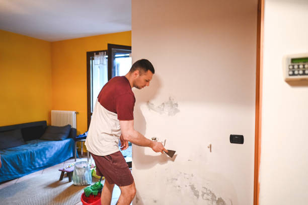 Best Affordable Mold Removal  in Blanchard, OK