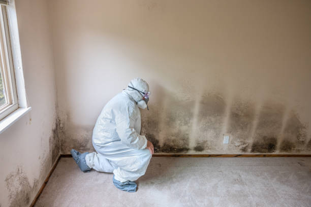 Best Office Mold Removal Services  in Blanchard, OK